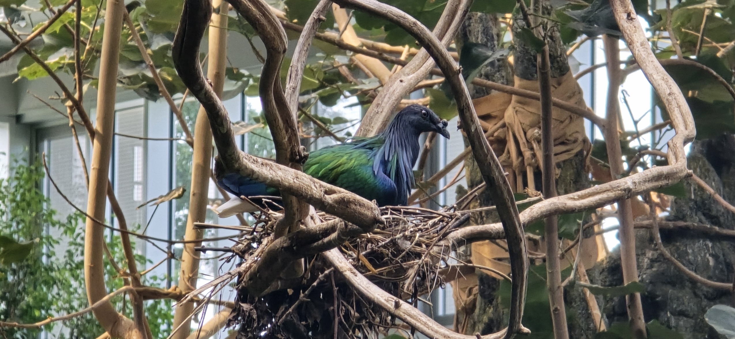Zoologischer Stadtgarten Karlsruhe 2025